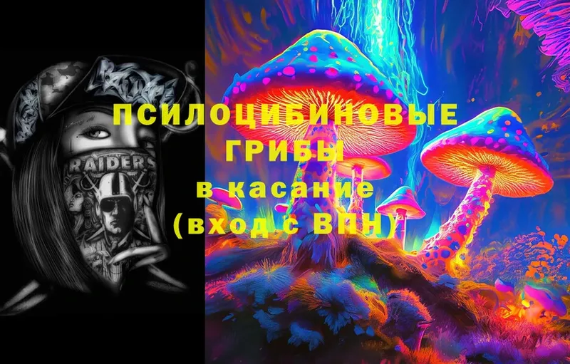 Псилоцибиновые грибы Cubensis Ряжск